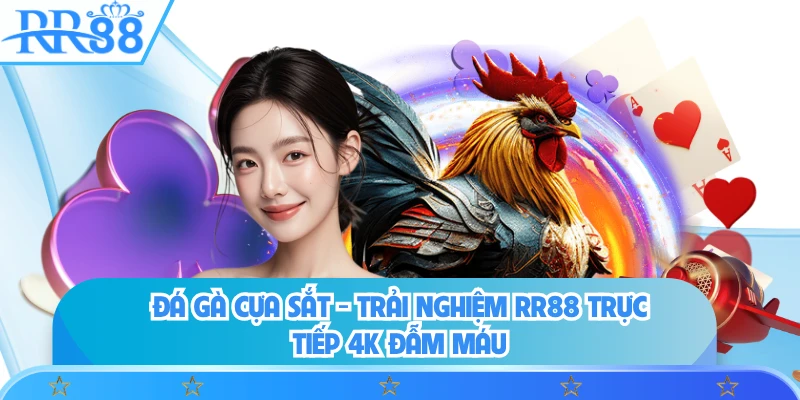 Đá Gà Cựa Sắt - Trải Nghiệm RR88 Trực Tiếp 4k Đẫm Máu