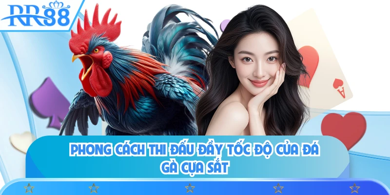 Phong cách thi đấu đầy tốc độ của đá gà cựa sắt